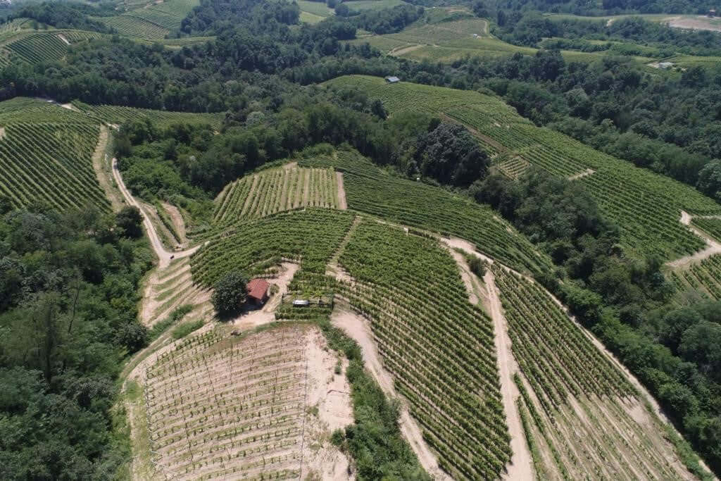"Gattinara" il Nebbiolo vulcanico!